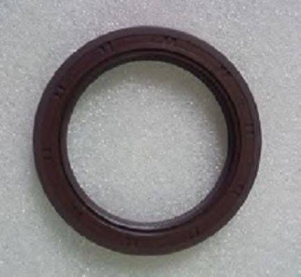 Уплотняющее кольцо, коленчатый вал PAYEN NA5351
