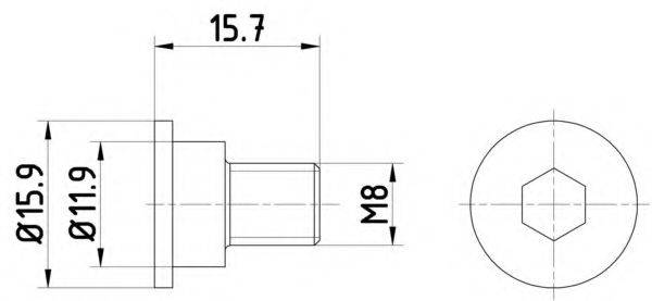 Болт, диск гальмівного механізму PAGID TPM0003