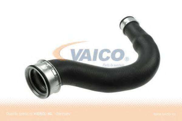 VAICO V102903 Трубка нагнетаемого воздуха