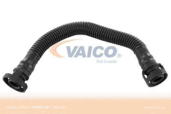 VAICO V103093 Шланг, вентиляція картера