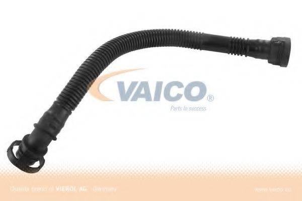 VAICO V201799 Шланг, вентиляция картера