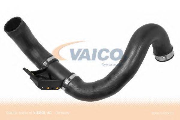VAICO V302420 Трубка нагнетаемого воздуха