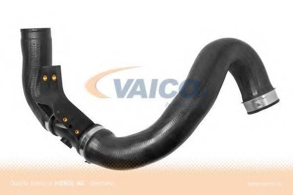 VAICO V302421 Трубка нагнетаемого воздуха
