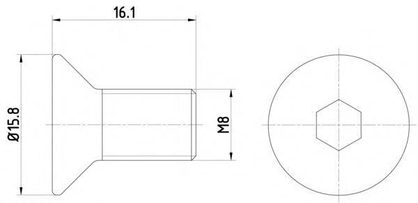 Болт, диск гальмівного механізму HELLA 8DZ 355 209-061