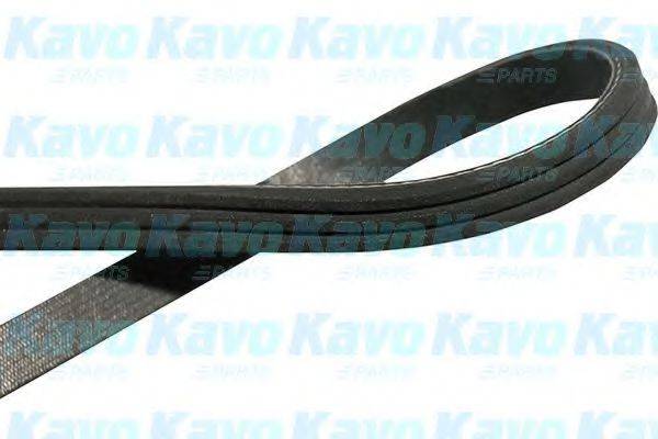 Полікліновий ремінь KAVO PARTS DMV-8507