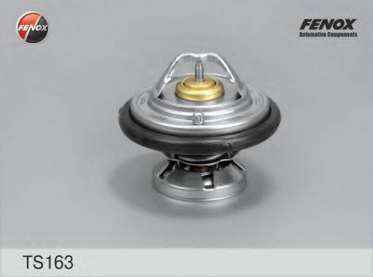 Термостат, охлаждающая жидкость FENOX TS163
