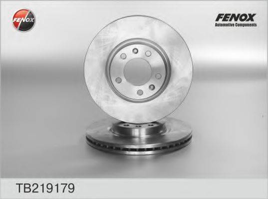 FENOX TB219179 гальмівний диск