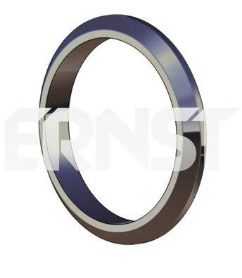 Уплотнительное кольцо, труба выхлопного газа ERNST 493925