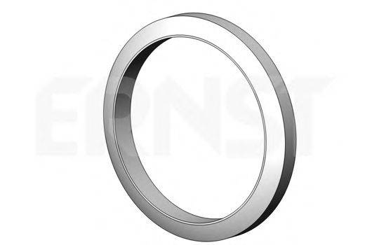 Уплотнительное кольцо, труба выхлопного газа ERNST 495561