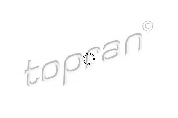 TOPRAN 206529 Прокладка, болт крышка головки цилиндра