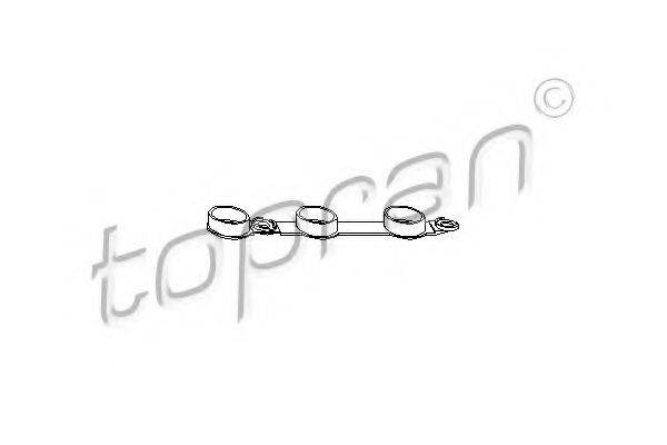 TOPRAN 501328 Прокладка, крышка головки цилиндра