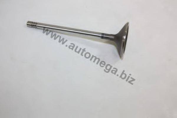 Впускной клапан AUTOMEGA 1006410063