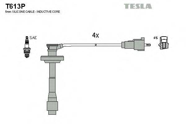 TESLA T613P Комплект проводов зажигания