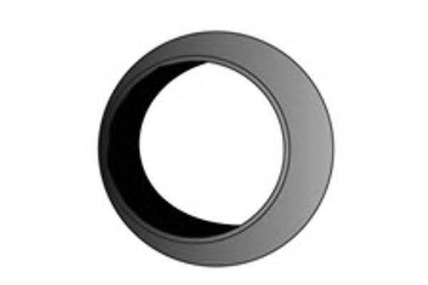 FENNO X20102 Уплотнительное кольцо, труба выхлопного газа