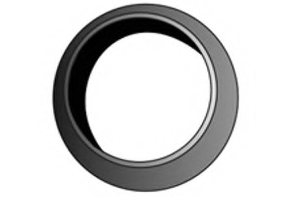 Уплотнительное кольцо, труба выхлопного газа FENNO X70108