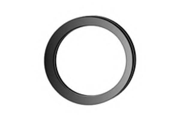 Уплотнительное кольцо, труба выхлопного газа FENNO X70125