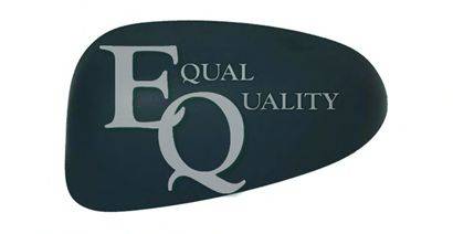 Покрытие, внешнее зеркало EQUAL QUALITY RS02950