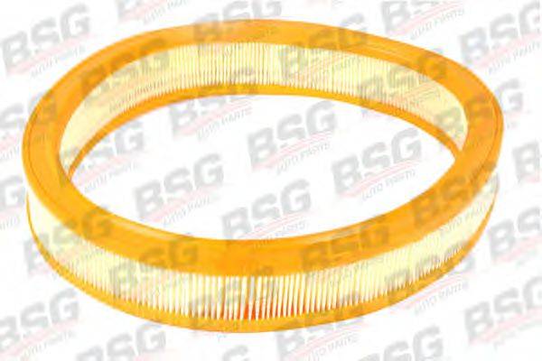 BSG BSG30135008 Воздушный фильтр