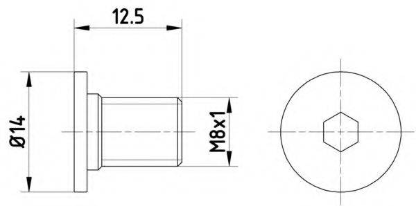 Болт, диск гальмівного механізму HELLA PAGID 8DZ 355 209-021