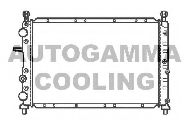 AUTOGAMMA 100017 Радиатор, охлаждение двигателя