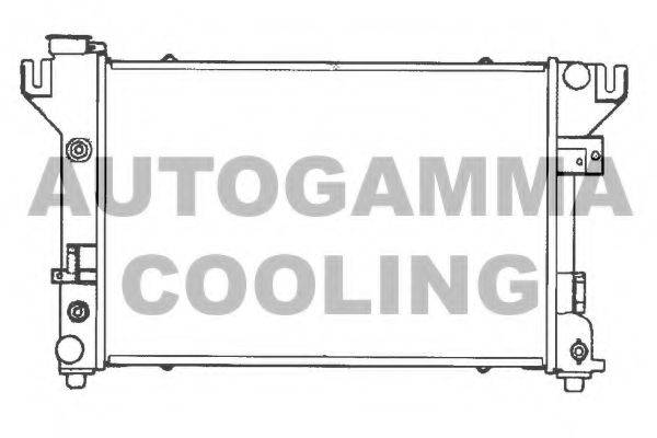 AUTOGAMMA 100136 Радиатор, охлаждение двигателя