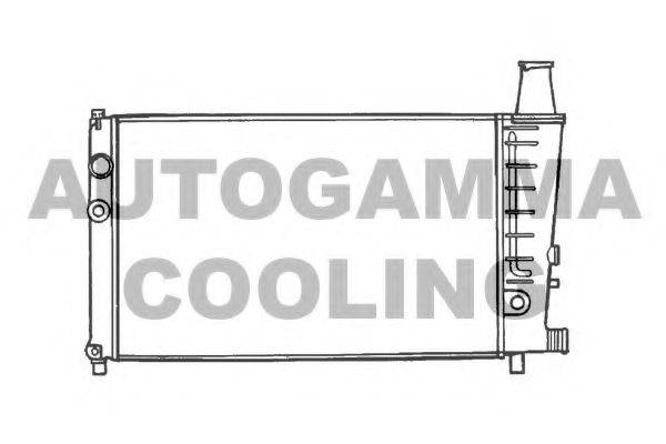 AUTOGAMMA 100166 Радиатор, охлаждение двигателя