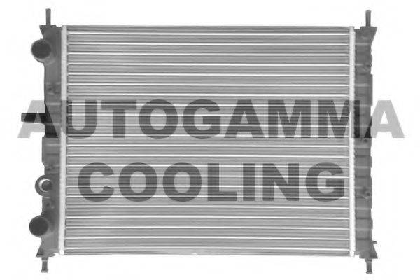 AUTOGAMMA 100260 Радиатор, охлаждение двигателя