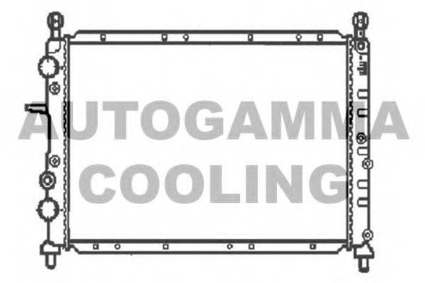 AUTOGAMMA 100266 Радиатор, охлаждение двигателя
