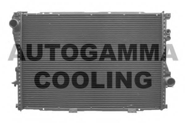 AUTOGAMMA 102042 Радиатор, охлаждение двигателя