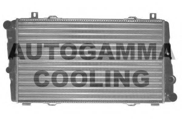 AUTOGAMMA 102306 Радиатор, охлаждение двигателя
