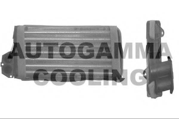 Теплообменник, отопление салона AUTOGAMMA 102551