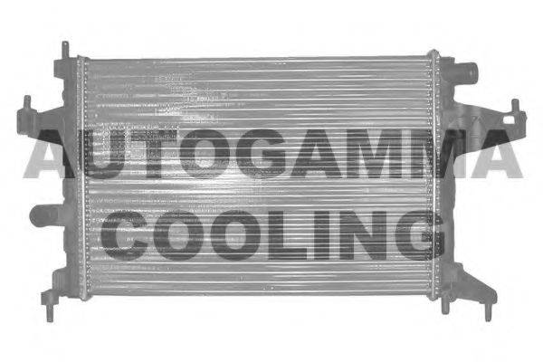 AUTOGAMMA 102849 Радиатор, охлаждение двигателя
