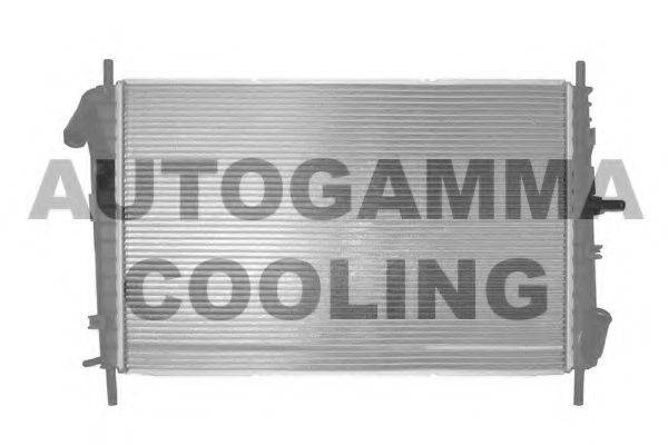 AUTOGAMMA 103102 Радиатор, охлаждение двигателя