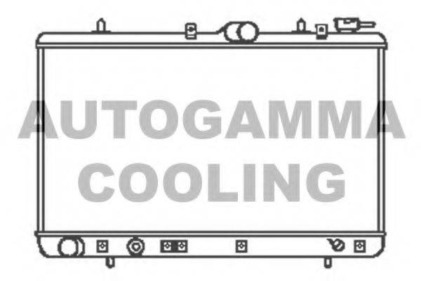 AUTOGAMMA 104061 Радиатор, охлаждение двигателя