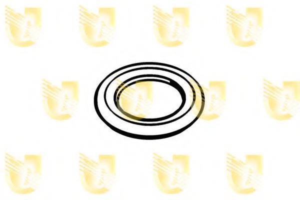 UNIGOM 162060 Уплотнительное кольцо, резьбовая пр