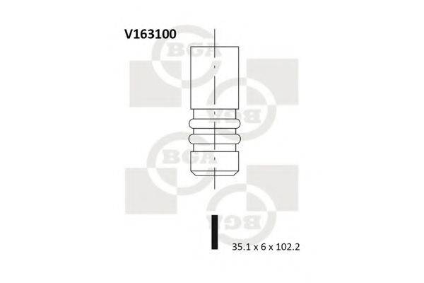 BGA V163100 Впускной клапан