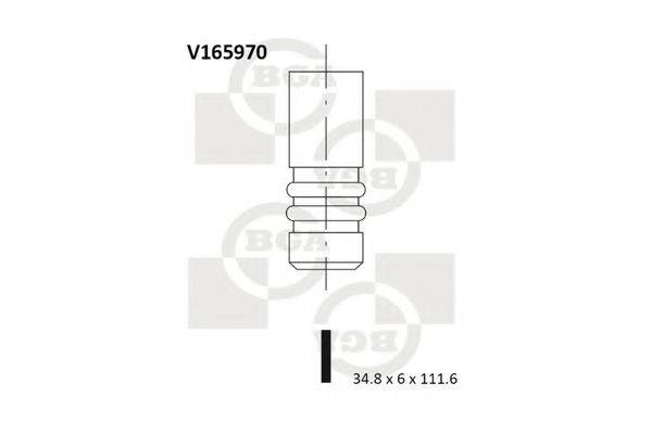 BGA V165970 Впускний клапан