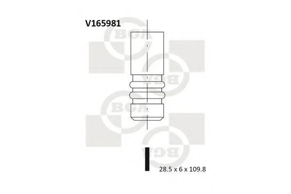 BGA V165981 Выпускной клапан