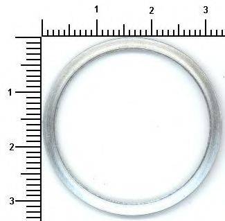 WILMINK GROUP WG1085236 Уплотнительное кольцо; Уплотнительное кольцо, предкамера