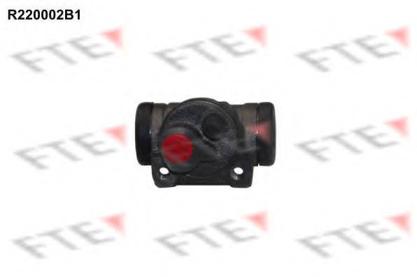 FTE R220002B1 Колесный тормозной цилиндр