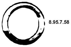 Уплотнительное кольцо, труба выхлопного газа EBERSPACHER 8.95.7.58