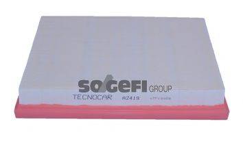 TECNOCAR A2419 Воздушный фильтр